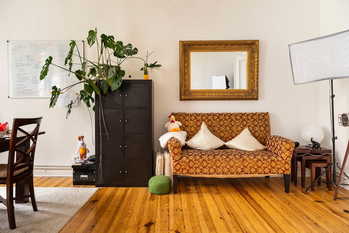 Sunny, elegant centre flat, high ceilings - Photo 4