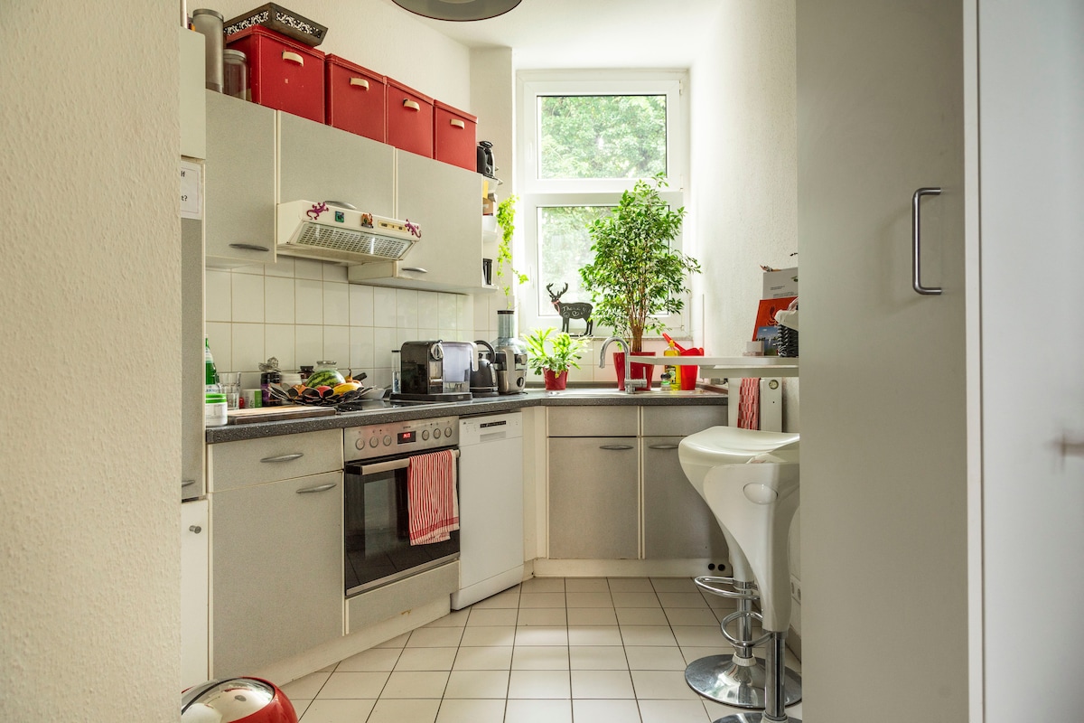 Sunny, elegant centre flat, high ceilings - Photo 16