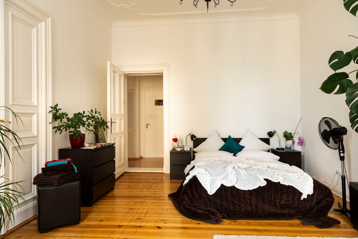 Sunny, elegant centre flat, high ceilings - Photo 9