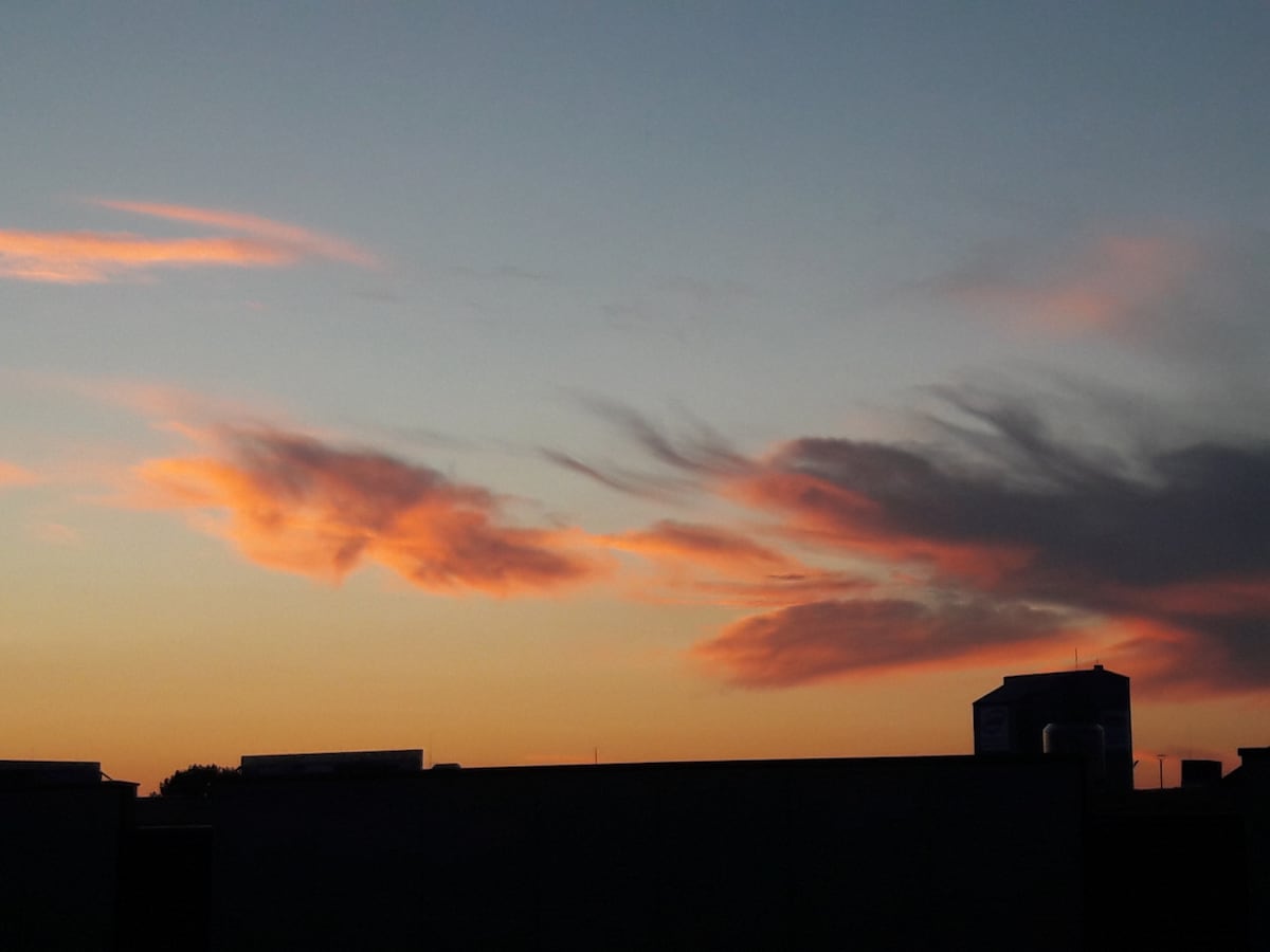 Sunny, elegant centre flat, high ceilings - Photo 29