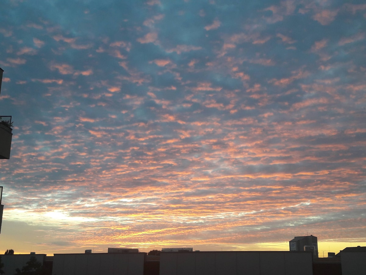 Sunny, elegant centre flat, high ceilings - Photo 30