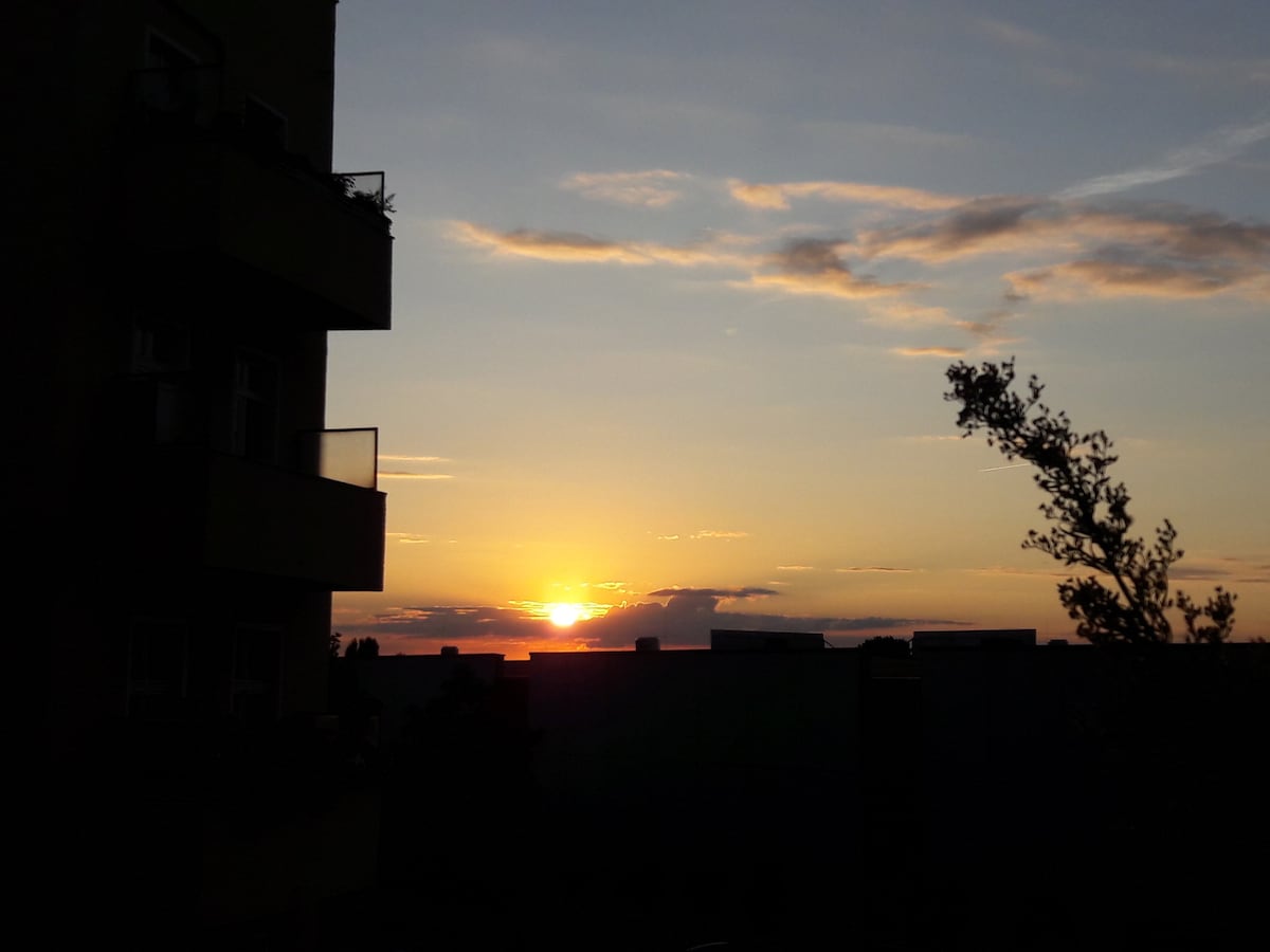 Sunny, elegant centre flat, high ceilings - Photo 31